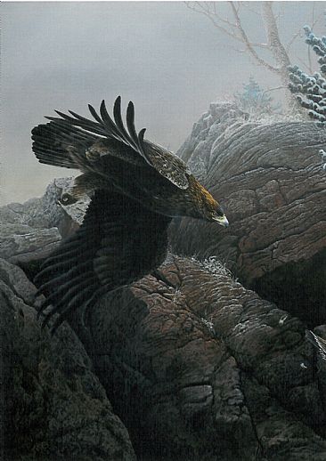 Cliffhanger - Golden Eagle and blue grouse by Christopher Walden